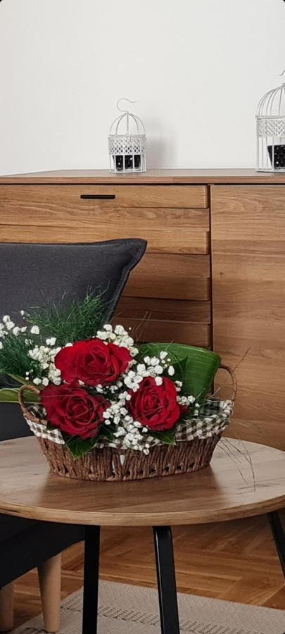 Tim Lux 2 Apartment Vrnjacka Banja