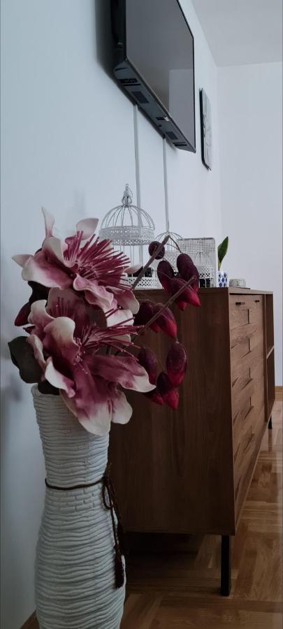 Apartment Tim Lux 2
